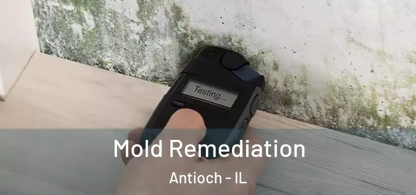  Mold Remediation Antioch - IL