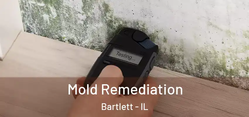  Mold Remediation Bartlett - IL