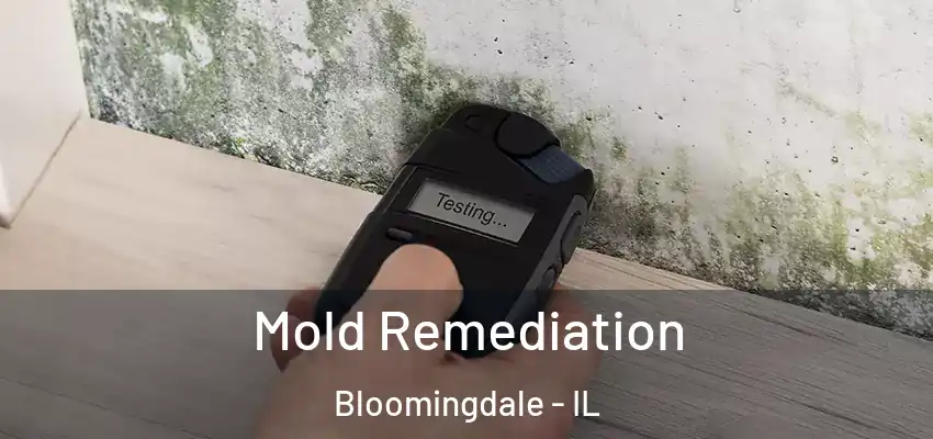  Mold Remediation Bloomingdale - IL