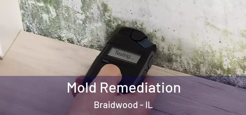 Mold Remediation Braidwood - IL