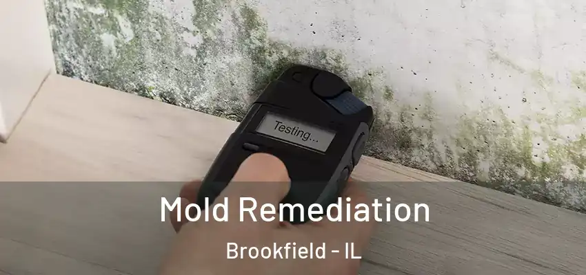 Mold Remediation Brookfield - IL
