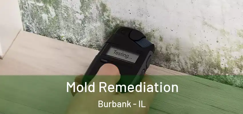Mold Remediation Burbank - IL