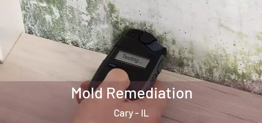  Mold Remediation Cary - IL