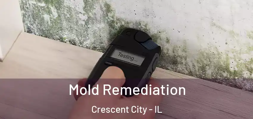  Mold Remediation Crescent City - IL