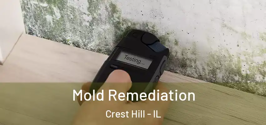  Mold Remediation Crest Hill - IL