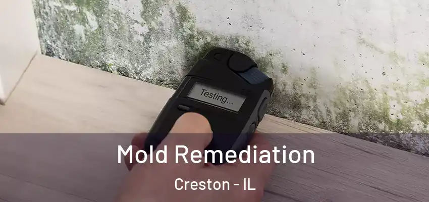  Mold Remediation Creston - IL