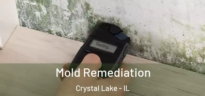 Mold Remediation Crystal Lake - IL