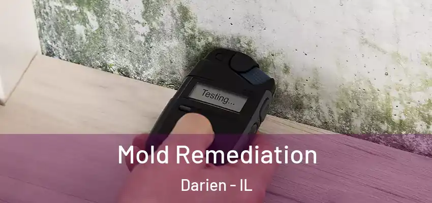 Mold Remediation Darien - IL