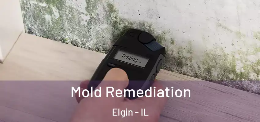  Mold Remediation Elgin - IL