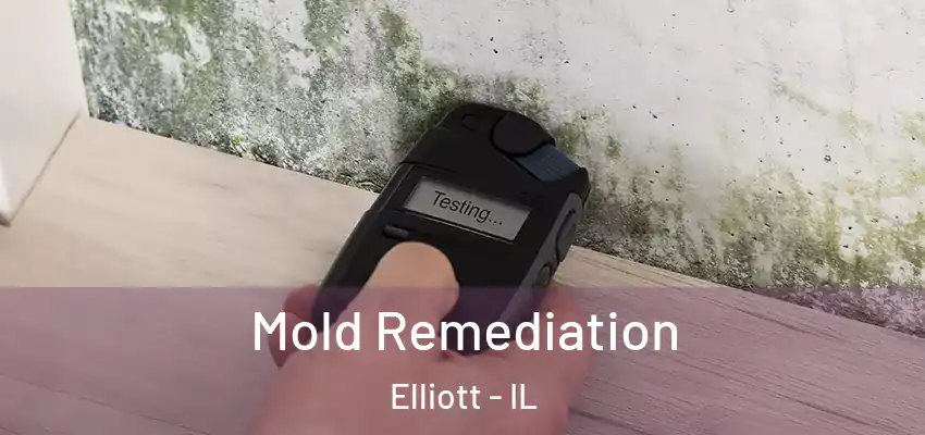 Mold Remediation Elliott - IL