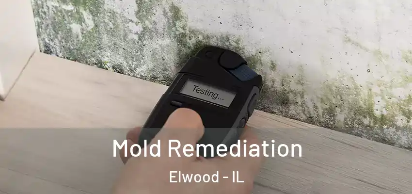 Mold Remediation Elwood - IL