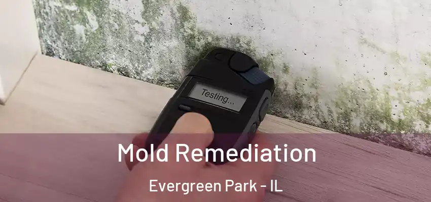  Mold Remediation Evergreen Park - IL