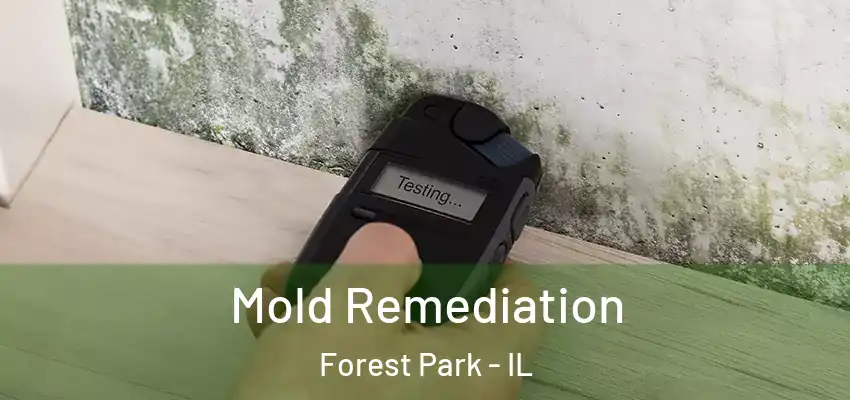  Mold Remediation Forest Park - IL