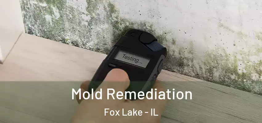 Mold Remediation Fox Lake - IL
