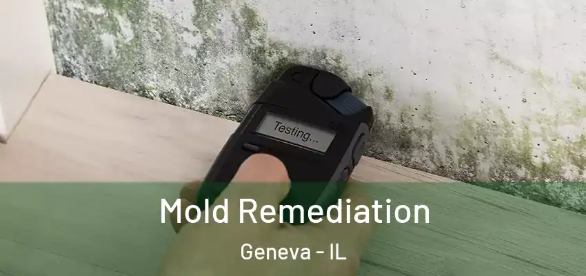  Mold Remediation Geneva - IL
