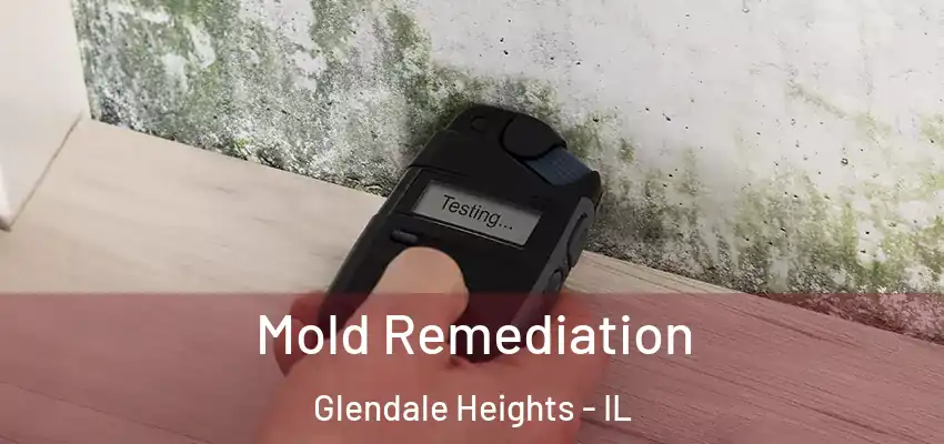 Mold Remediation Glendale Heights - IL