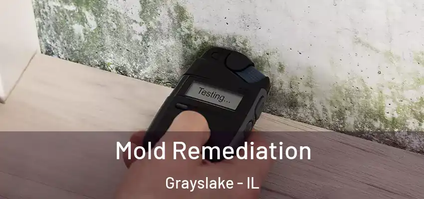 Mold Remediation Grayslake - IL