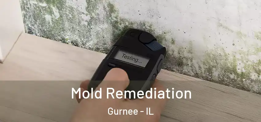 Mold Remediation Gurnee - IL