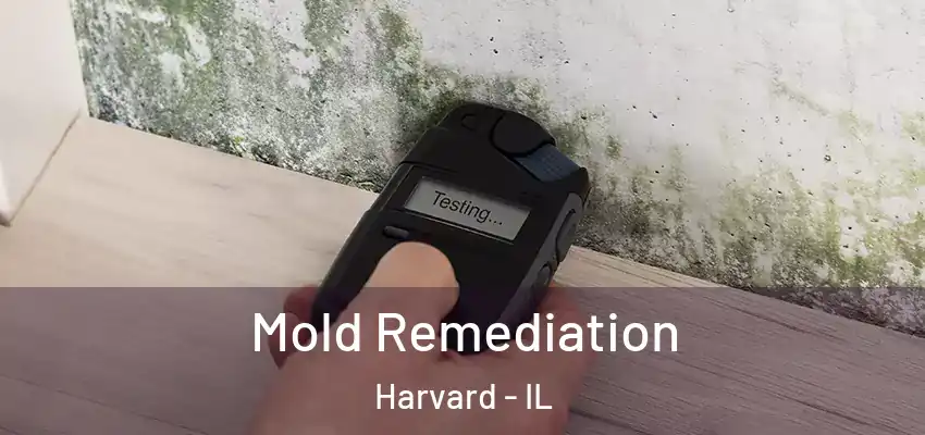 Mold Remediation Harvard - IL