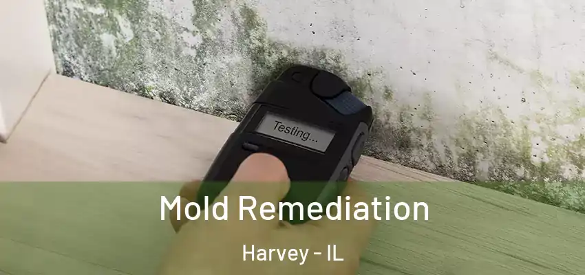  Mold Remediation Harvey - IL