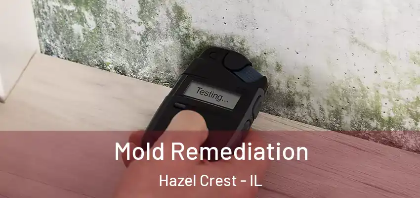 Mold Remediation Hazel Crest - IL