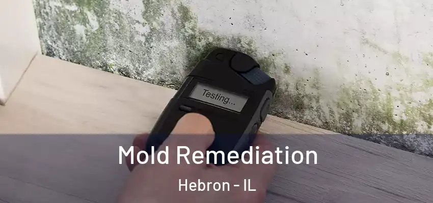 Mold Remediation Hebron - IL