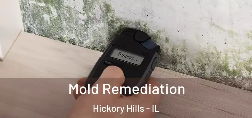 Mold Remediation Hickory Hills - IL