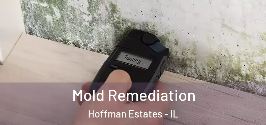  Mold Remediation Hoffman Estates - IL