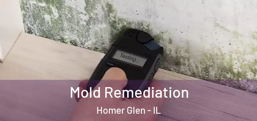 Mold Remediation Homer Glen - IL