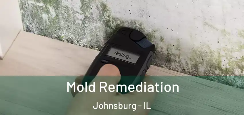 Mold Remediation Johnsburg - IL