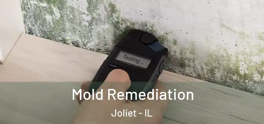 Mold Remediation Joliet - IL