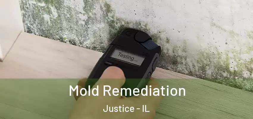 Mold Remediation Justice - IL