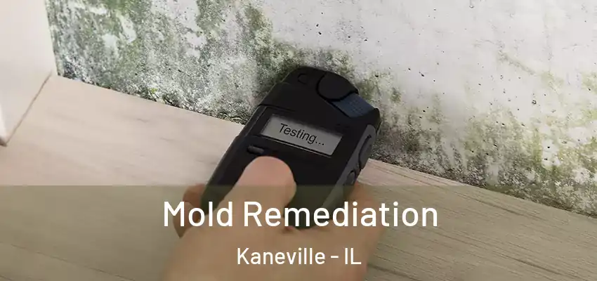 Mold Remediation Kaneville - IL