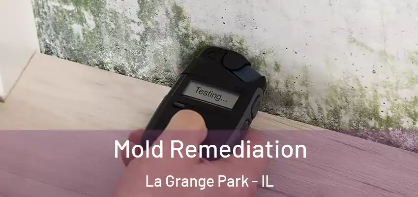  Mold Remediation La Grange Park - IL