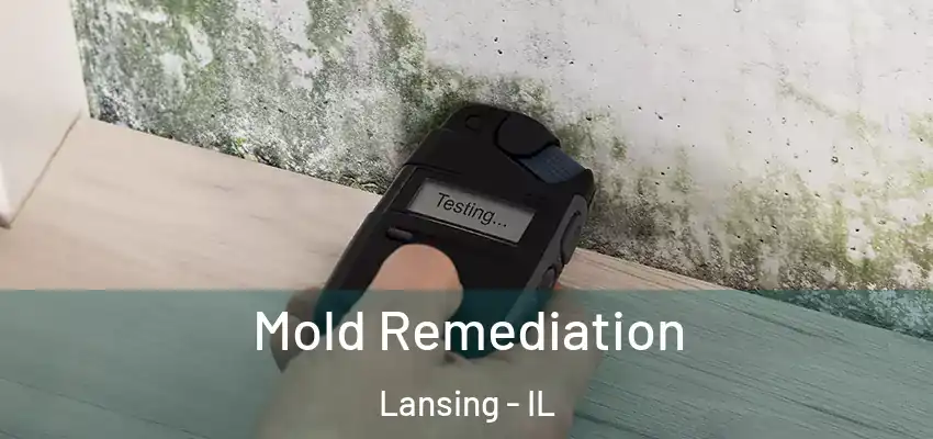 Mold Remediation Lansing - IL