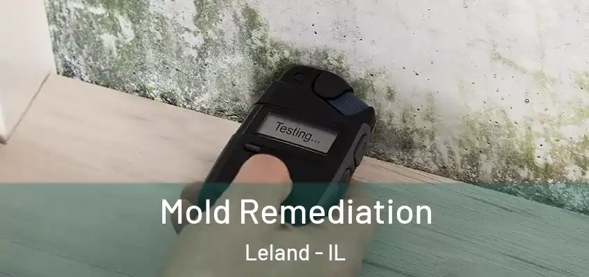 Mold Remediation Leland - IL