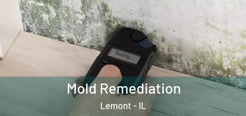 Mold Remediation Lemont - IL