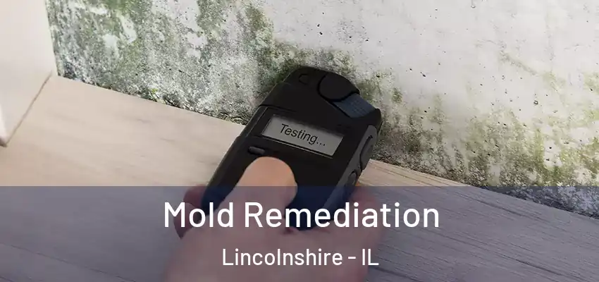  Mold Remediation Lincolnshire - IL