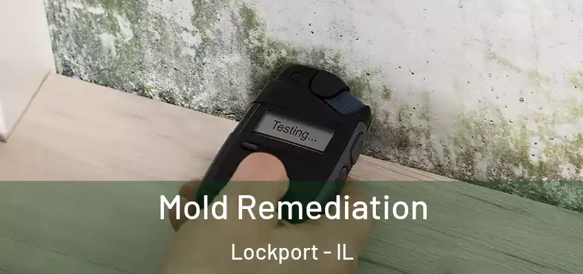 Mold Remediation Lockport - IL