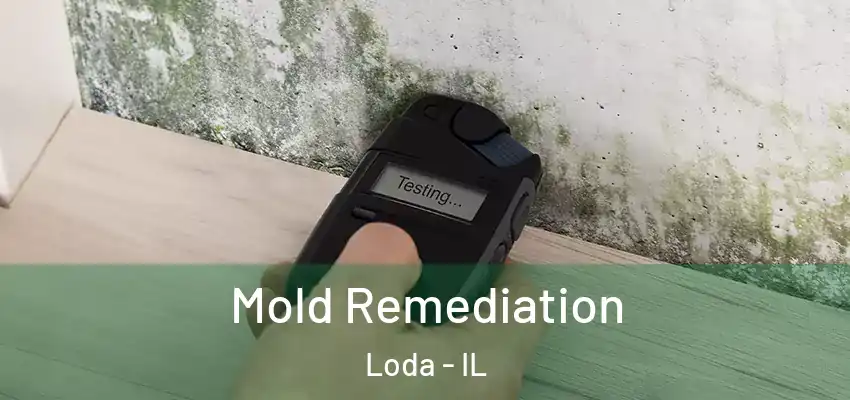  Mold Remediation Loda - IL