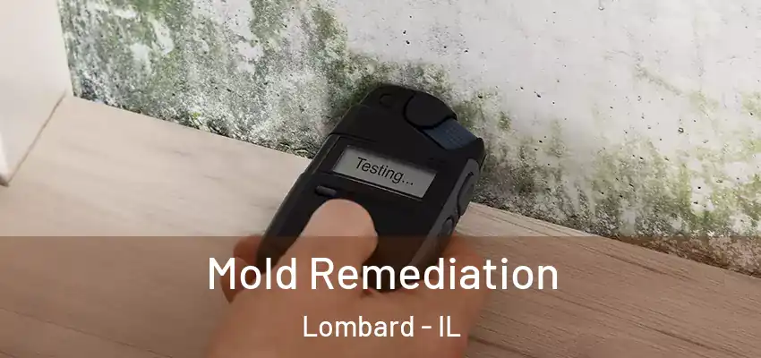 Mold Remediation Lombard - IL