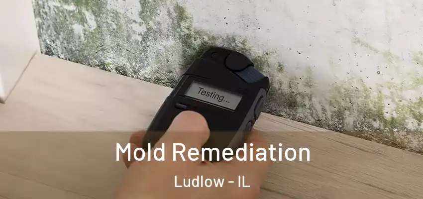 Mold Remediation Ludlow - IL