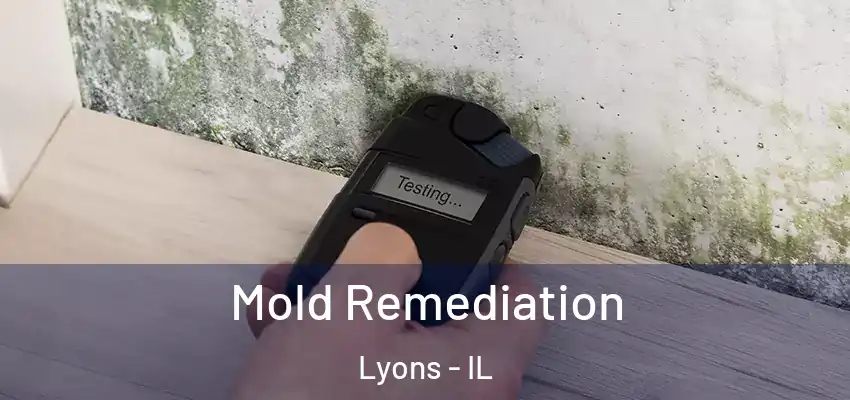  Mold Remediation Lyons - IL