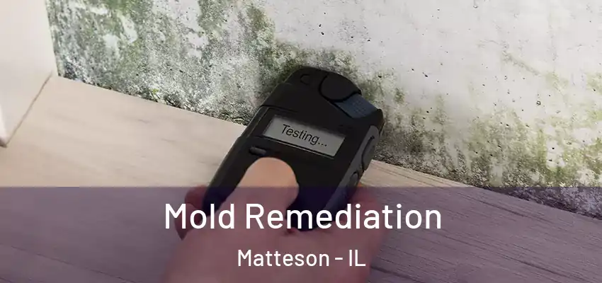 Mold Remediation Matteson - IL