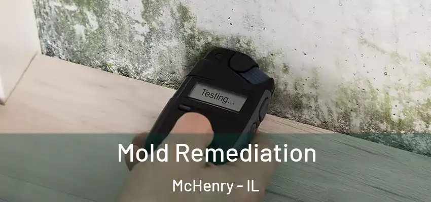 Mold Remediation McHenry - IL