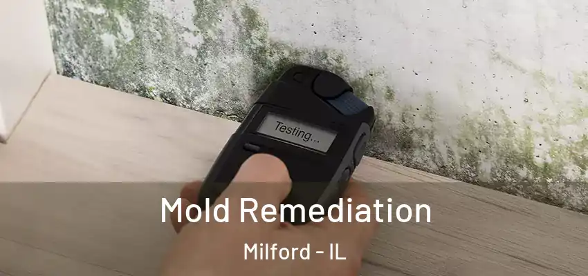  Mold Remediation Milford - IL