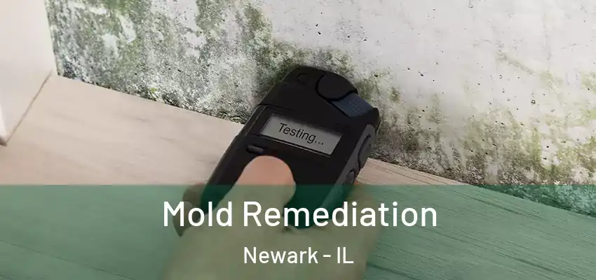 Mold Remediation Newark - IL