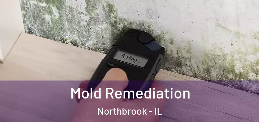  Mold Remediation Northbrook - IL