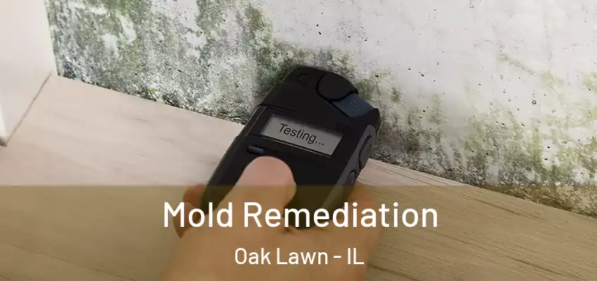 Mold Remediation Oak Lawn - IL