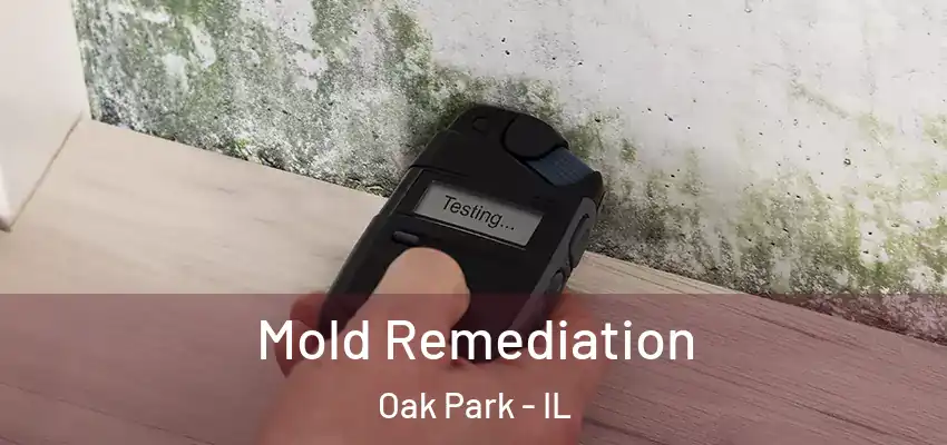 Mold Remediation Oak Park - IL